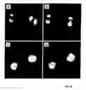 Fig. 06 - METHOD FOR GENERATING SUPRAMOLECULAR ROTARY DEVICES AND SUPRAMOLECULAR ROTARY SWITCH