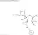 Fig. 05 - POLYMERIC BEADS FOR OLIGOMER SYNTHESIS