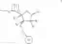 Fig. 13 - POLYMERIC BEADS FOR OLIGOMER SYNTHESIS