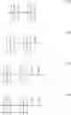 Fig. 43 - POLYMERIC BEADS FOR OLIGOMER SYNTHESIS