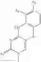 Fig. 57 - POLYMERIC BEADS FOR OLIGOMER SYNTHESIS
