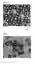 Fig. 03 - Silver-coated ball and method for manufacturing same