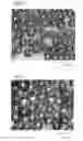 Fig. 04 - Silver-coated ball and method for manufacturing same