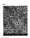 Fig. 08 - Composite porous membrane, method of producing composite porous membrane, and battery separator, battery and capacitor using the same