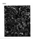 Fig. 09 - Composite porous membrane, method of producing composite porous membrane, and battery separator, battery and capacitor using the same
