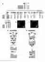 Fig. 05 - Compositions and methods for spinocerebellar ataxia