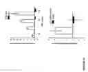 Fig. 35 - Methods of Diagnosing and Treating Complications of Pregnancy