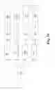 Fig. 06 - Microfluidic system and method for sorting cell clusters and for the continuous encapsulation thereof following sorting thereof