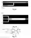 Fig. 07 - Microfluidic system and method for sorting cell clusters and for the continuous encapsulation thereof following sorting thereof