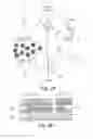 Fig. 10 - Microfluidic system and method for sorting cell clusters and for the continuous encapsulation thereof following sorting thereof