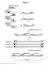 Fig. 04 - DNA sequences for the expression of alloproteins