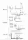 Fig. 06 - DNA sequences for the expression of alloproteins