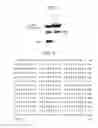 Fig. 07 - DNA sequences for the expression of alloproteins