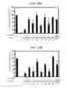 Fig. 09 - DNA sequences for the expression of alloproteins