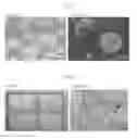 Fig. 04 - MODULAR CULTURE SYSTEM FOR MAINTENANCE, DIFFERENTIATION AND PROLIFERATION OF CELLS