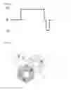 Fig. 06 - Microinjection method and device
