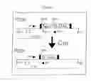 Fig. 02 - Site-specific recombination in eukaryotes and constructs useful therefor