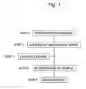 Fig. 02 - DETERMINATION METHOD AND INSTRUMENTS OF HEXAVALENT CHROMIUM