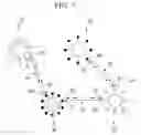 Fig. 04 - METHOD OF DETECTING TARGET NUCLEIC ACID AND CONTAINER USED FOR THE DETECTING METHOD