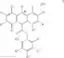 Fig. 09 - ISOLATED HUMAN AUTOANTIBODIES TO NATRIURETIC PEPTIDES AND METHODS AND KITS FOR DETECTING HUMAN AUTOANTIBODIES TO NATRIURETIC PEPTIDES