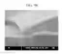 Fig. 12 - Etchant and method for fabricating electric device including thin film transistor using the same