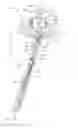 Fig. 01 - Apparatus having a buoyant structure that resists rotation