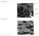 Fig. 02 - Leather-like sheet material, process for production thereof, and interior, clothing and industrial materials made by using the same