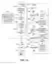 Fig. 20 - Multiple access internet portal revenue sharing