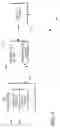 Fig. 02 - System, method, and apparatus for increasing a likelihood of advertisement display