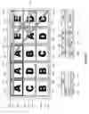 Fig. 02 - Method of simultaneous indication of multiple winning combinations in a symbol matrix