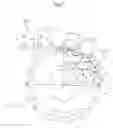 Fig. 08 - SPROCKET FOR CHAIN