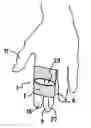 Fig. 01 - REMOTE CONTROL DEVICE FOR AN ELECTRONIC APPARATUS IN PARTICULAR FOR PERFORMING A PHYSICAL EXERCISE