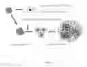 Fig. 06 - CONTINUOUS MASS PRODUCTION OF CARBON NANOTUBES IN A NANO-AGGLOMERATE FLUIDIZED-BED AND THE REACTOR