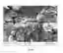 Fig. 08 - CONTINUOUS MASS PRODUCTION OF CARBON NANOTUBES IN A NANO-AGGLOMERATE FLUIDIZED-BED AND THE REACTOR