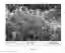 Fig. 09 - CONTINUOUS MASS PRODUCTION OF CARBON NANOTUBES IN A NANO-AGGLOMERATE FLUIDIZED-BED AND THE REACTOR