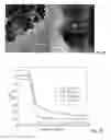 Fig. 07 - Production method of titanium dioxide (TiO) photocatalyst and TiOphotocatalyst produced by the same