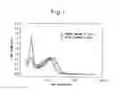 Fig. 02 - Exhaust gas purifying catalyst