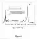 Fig. 04 - SINGLE-WALLED CARBON NANOTUBE CATALYST