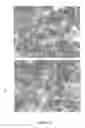 Fig. 06 - SINGLE-WALLED CARBON NANOTUBE CATALYST
