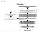 Fig. 02 - Oligonucleotide for Detection of Bacteria Associated with Sepsis and Microarrays and Method for Detection of the Bacteria Using the Oligonucleotide