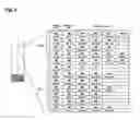 Fig. 04 - Oligonucleotide for Detection of Bacteria Associated with Sepsis and Microarrays and Method for Detection of the Bacteria Using the Oligonucleotide