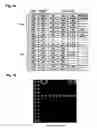 Fig. 05 - Oligonucleotide for Detection of Bacteria Associated with Sepsis and Microarrays and Method for Detection of the Bacteria Using the Oligonucleotide