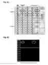 Fig. 06 - Oligonucleotide for Detection of Bacteria Associated with Sepsis and Microarrays and Method for Detection of the Bacteria Using the Oligonucleotide