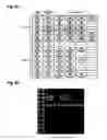 Fig. 07 - Oligonucleotide for Detection of Bacteria Associated with Sepsis and Microarrays and Method for Detection of the Bacteria Using the Oligonucleotide