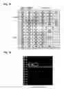 Fig. 08 - Oligonucleotide for Detection of Bacteria Associated with Sepsis and Microarrays and Method for Detection of the Bacteria Using the Oligonucleotide