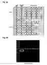 Fig. 09 - Oligonucleotide for Detection of Bacteria Associated with Sepsis and Microarrays and Method for Detection of the Bacteria Using the Oligonucleotide