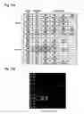Fig. 12 - Oligonucleotide for Detection of Bacteria Associated with Sepsis and Microarrays and Method for Detection of the Bacteria Using the Oligonucleotide