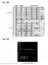 Fig. 13 - Oligonucleotide for Detection of Bacteria Associated with Sepsis and Microarrays and Method for Detection of the Bacteria Using the Oligonucleotide