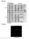 Fig. 16 - Oligonucleotide for Detection of Bacteria Associated with Sepsis and Microarrays and Method for Detection of the Bacteria Using the Oligonucleotide
