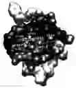 Fig. 01 - Collagen Receptor I-Domain Binding Modulators
